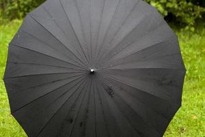 black umbrella with drops photo