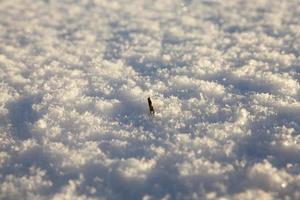 Snow drifts in winter photo