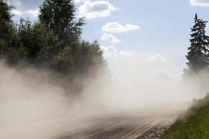 Dust road, forest photo