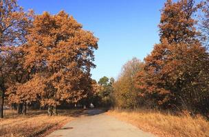 la temporada de otoño foto