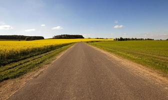 the asphalted road photo