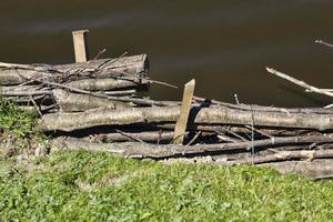 Primate wooden fortifications photo