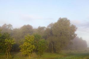 niebla neblina paisaje foto