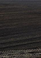 plowed black soil photo
