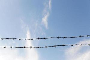 barbed wire, sky photo