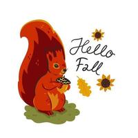 Cute autumn squirrel with an acorn in its paws. Vector graphics.