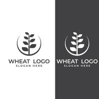 logotipo de trigo o cereal, campo de trigo y logotipo de granja de trigo. Con ilustraciones de edición fáciles y sencillas. vector