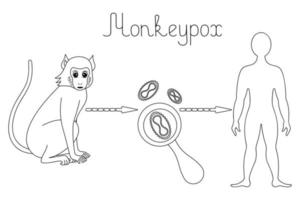 Monkeypox. Diagram of human infection with the smallpox virus. Sketch. Monkey - virus - man. Vector illustration. Zoonotic viral disease. Outline on isolated background. Doodle style. Coloring book