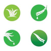 Aloe vera logo vector ilustration template