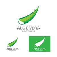 Aloe vera logo vector ilustration template