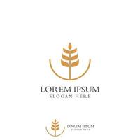 Wheat or cereal logo, wheat field and wheat farm logo.With easy and simple editing illustrations. vector