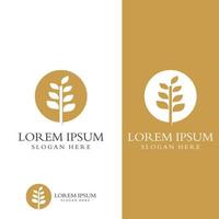 Wheat or cereal logo, wheat field and wheat farm logo.With easy and simple editing illustrations. vector