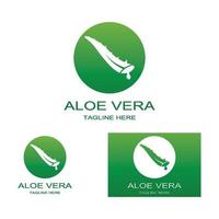 Aloe vera logo vector ilustration template