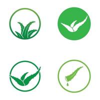 Aloe vera logo vector ilustration template