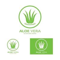 Aloe vera logo vector ilustration template