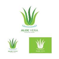 Aloe vera logo vector ilustration template