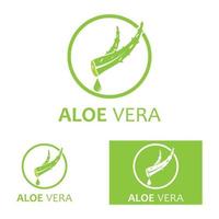 Aloe vera logo vector ilustration template