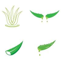 Aloe vera logo vector ilustration template