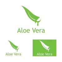 Aloe vera logo vector ilustration template