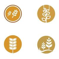 logotipo de trigo o cereal, campo de trigo y logotipo de granja de trigo. Con ilustraciones de edición fáciles y sencillas. vector