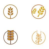 Wheat or cereal logo, wheat field and wheat farm logo.With easy and simple editing illustrations. vector