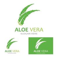 Aloe vera logo vector ilustration template