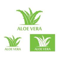 Aloe vera logo vector ilustration template