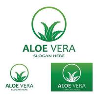 Aloe vera logo vector ilustration template