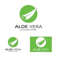 Aloe vera logo vector ilustration template