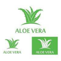 Aloe vera logo vector ilustration template
