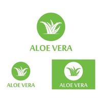 Aloe vera logo vector ilustration template