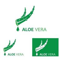 Aloe vera logo vector ilustration template