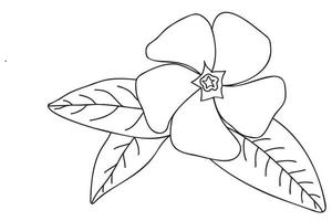 painted barvinok flower painted in black on a white background is intended for cards, fabric printing, tattoo, valentine, March 8 and other occasions vector