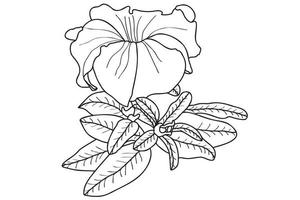 petunia flower drawn, intended for tattoo, card, fabric print, March 8, Valentine and other occasions