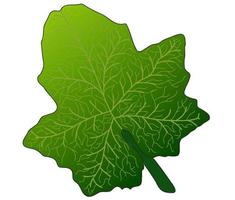 leaf painted with your own, intended for printing, tattoo, card, clothing printing and various things vector