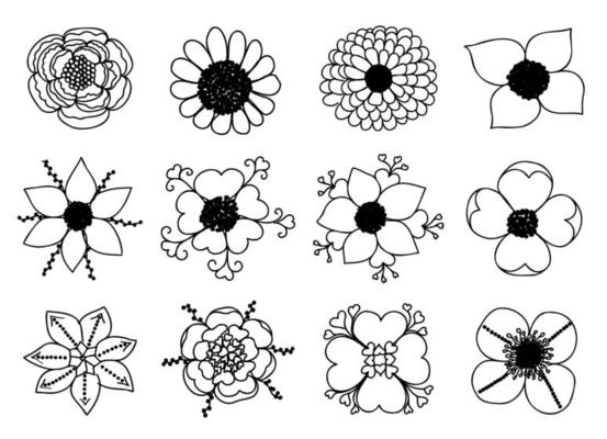 Various flowers are drawn on a white background, you can use it for cards, tattoo, clothes printing, coloring, March 8, Valentine, etc.