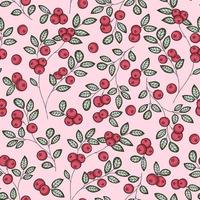 fresh summer charming lingonberry pattern vector