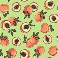 Summer pattern with juicy peaches and apricots vector