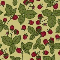 Sweet cute pattern with summer raspberries vector