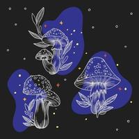 Collection of graphic mushrooms with plants and starry background, outline drawing, graphics, doodle vector