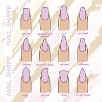 The shape of the nail plate and their name, round, oval and other designs, manicure 9514254 Vector Art at Vecteezy The shape of the nail plate and their name, round, oval and other designs, manicure 9514254 Vector Art at Vecteezy