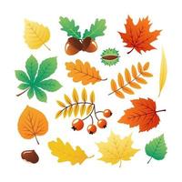 Colorful Collection of Autumn Leaves and Plants vector