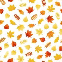 otoño de patrones sin fisuras con hojas de colores vector