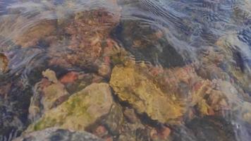 rocks under the water on the shore, the water sways video