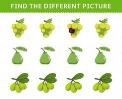 juego educativo para niños encuentra la imagen diferente en cada fila frutas uva guayaba oliva vector