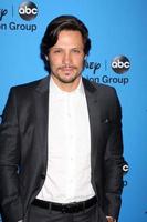 LOS ANGELES, AUG 4 - Nick Wechsler arrives at the ABC Summer 2013 TCA Party at the Beverly Hilton Hotel on August 4, 2013 in Beverly Hills, CA photo