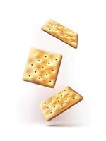 3d relistic vector, Falling chrispy salty crackers. Isolated. vector