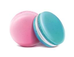 3d realistic vector icon. Set of two macaroons in raspberry and blueberry.