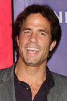LOS ANGELES, JAN 13 - Shawn Christian arrives at the NBC TCA Winter 2011 Party at Langham Huntington Hotel on January 13, 2010 in Westwood, CA photo
