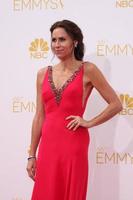 LOS ANGELES, AUG 25 - Minnie Driver at the 2014 Primetime Emmy Awards, Arrivals at Nokia at LA Live on August 25, 2014 in Los Angeles, CA photo